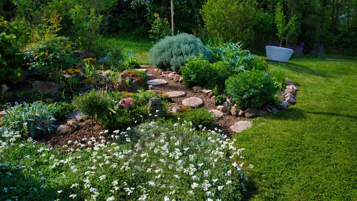 Économiser l'eau au jardin : arrosage économe potager