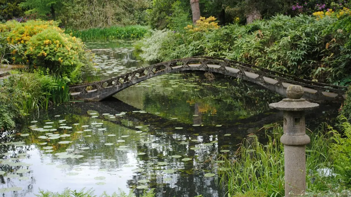 Bassin aquatique de jardin