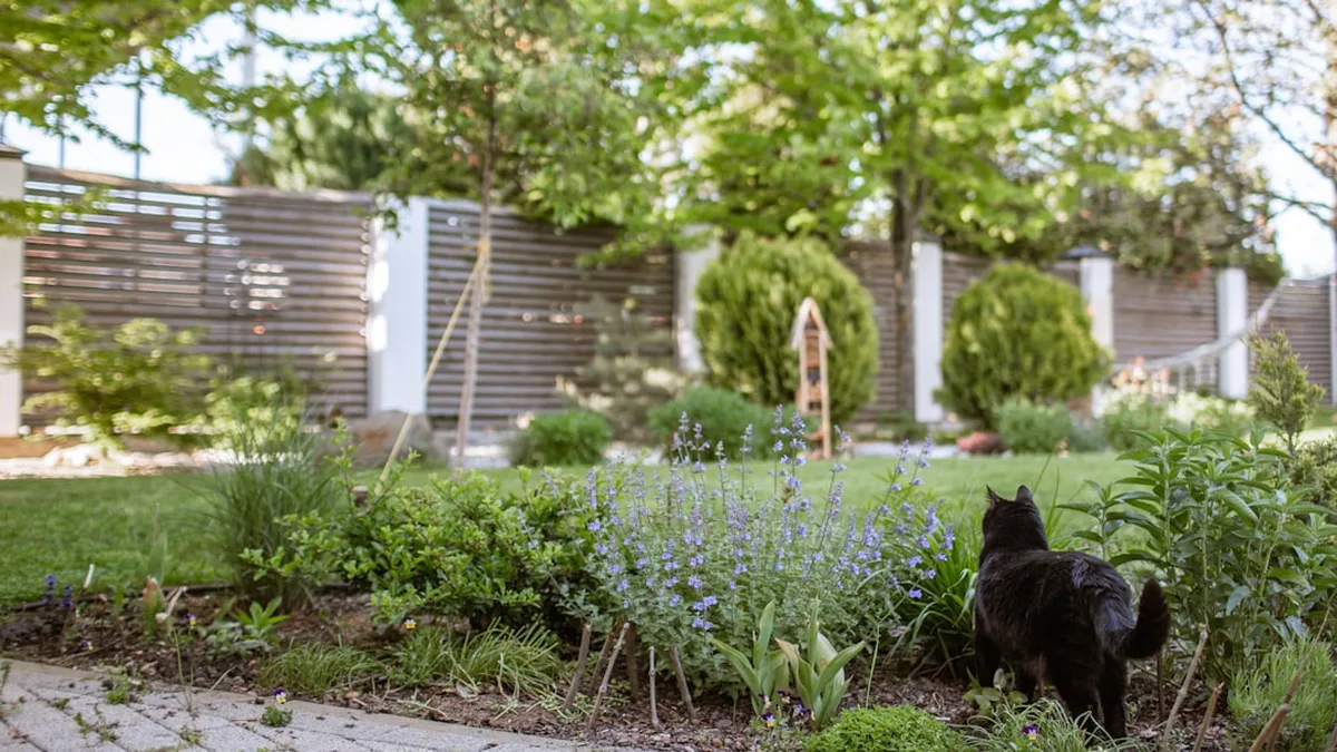 Optimiser un tout petit jardin, sans culpabiliser