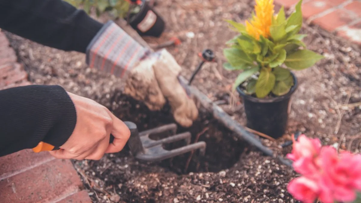 Quelles fleurs planter en avril